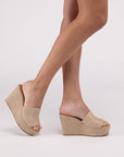 Bounty-S Wedge Platform Heels