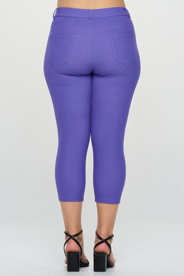 Capri- Stretch Pull-On Jeggings 👖 Curvy