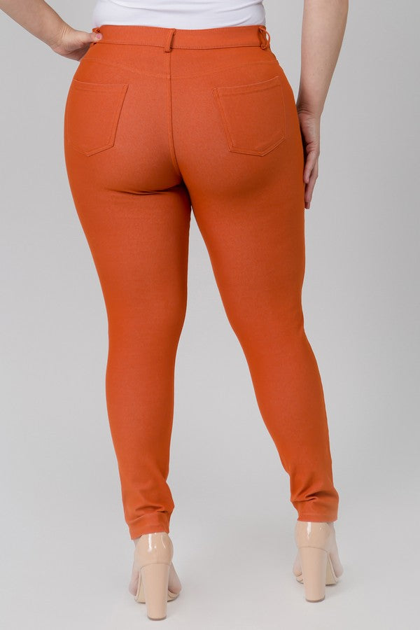 Everyday Stretch Pull-On Jeggings 👖 Curvy