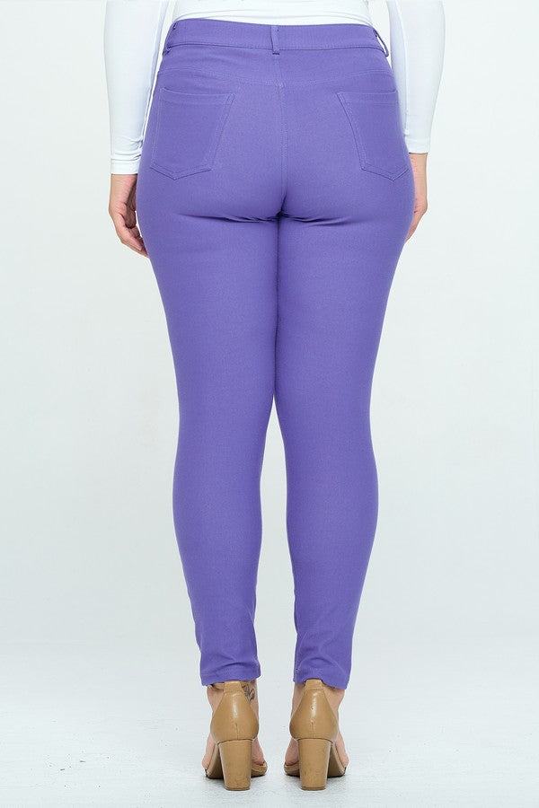 Everyday Stretch Pull-On Jeggings 👖 Curvy